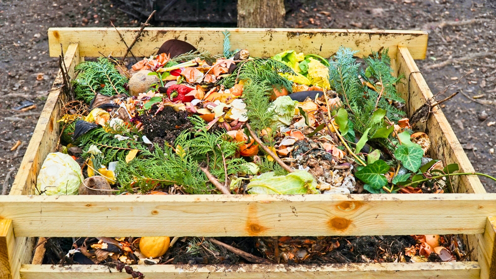 Food Waste Management
